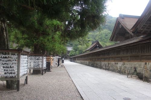 Izumo Taisha 4